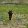2012_schwarzwald_fruehling_DSC07361_UNO