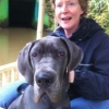 2012_hundeferien_oktober_IMG_1473