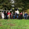 2012_hundeferien_oktober_IMG_1483