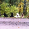 2012_hundeferien_oktober_IMG_1516