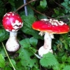 2012_hundeferien_oktober_IMG_1545