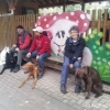 2012_hundeferien_oktober_Wartezone