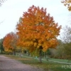 2012_hundeferien_oktober_zum_sortieren_016
