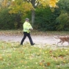 2012_hundeferien_oktober_zum_sortieren_024