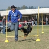 2008_hundefuehrerschein_DSC_0070