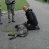 2008_hundefuehrerschein_DSC_0074