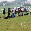 2008_hundefuehrerschein_DSC_0094