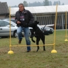 2008_hundefuehrerschein_DSC_0109