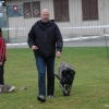 2008_hundefuehrerschein_DSC_0121