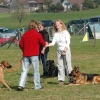 2008_hundefuehrerschein_DSC_0148
