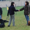 2008_hundefuehrerschein_DSC_0151
