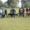 2008_hundefuehrerschein_DSC_0169