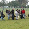 2008_hundefuehrerschein_DSC_0184