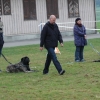 2008_hundefuehrerschein_DSC_0193