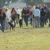 2008_hundefuehrerschein_DSC_0200