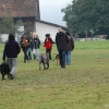 2008_hundefuehrerschein_DSC_0218