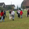 2008_hundefuehrerschein_DSC_0220