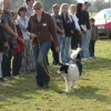 2008_hundefuehrerschein_DSC_0229