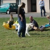 2008_hundefuehrerschein_DSC_0240