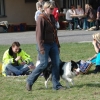 2008_hundefuehrerschein_DSC_0261