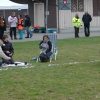 2008_hundefuehrerschein_DSC_0265