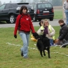 2008_hundefuehrerschein_DSC_0269