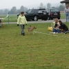 2008_hundefuehrerschein_DSC_0273