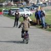 2008_hundefuehrerschein_DSC_0302