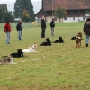 2008_hundefuehrerschein_DSC_0305