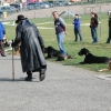 2008_hundefuehrerschein_DSC_0306