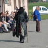 2008_hundefuehrerschein_DSC_0313