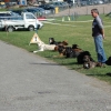 2008_hundefuehrerschein_DSC_0325