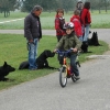 2008_hundefuehrerschein_DSC_0327