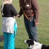 2008_hundefuehrerschein_DSC_0331