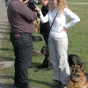 2008_hundefuehrerschein_DSC_0332