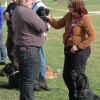 2008_hundefuehrerschein_DSC_0336
