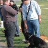 2008_hundefuehrerschein_DSC_0339