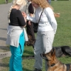 2008_hundefuehrerschein_DSC_0354