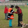 2008_hundefuehrerschein_DSC_0357