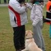 2008_hundefuehrerschein_DSC_0366