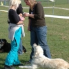 2008_hundefuehrerschein_DSC_0368