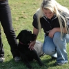 2008_hundefuehrerschein_DSC_0374