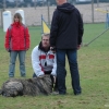 2008_hundefuehrerschein_DSC_0390