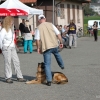 2008_hundefuehrerschein_DSC_0391