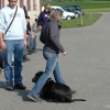 2008_hundefuehrerschein_DSC_0398