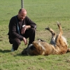 2008_hundefuehrerschein_DSC_0433