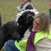 2008_hundefuehrerschein_DSC_0452
