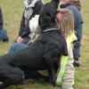 2008_hundefuehrerschein_DSC_0454
