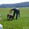 2008_kurshpschaller_DSC02067