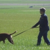 2008_kurshpschaller_DSC02069